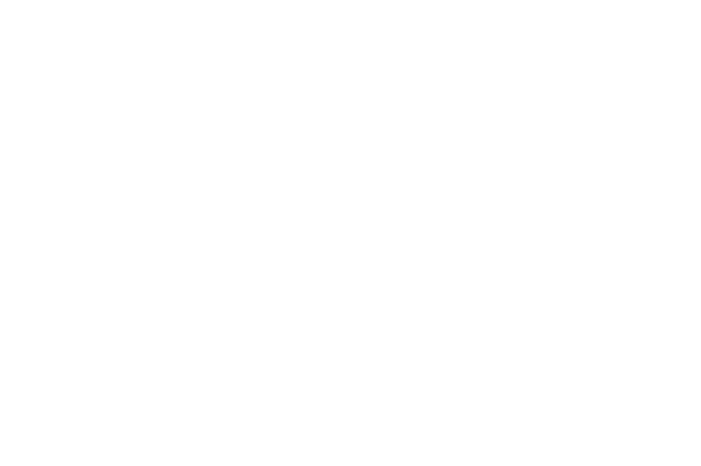 Owl Power Logo