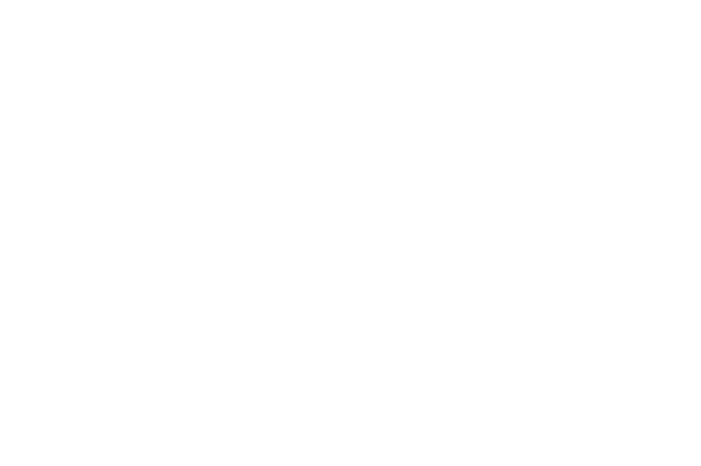 Little Dooley Logo