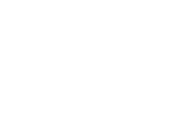 Primal Media Logo